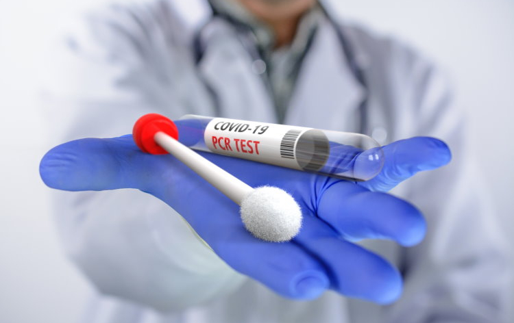 PCR test and fit to fly certificate